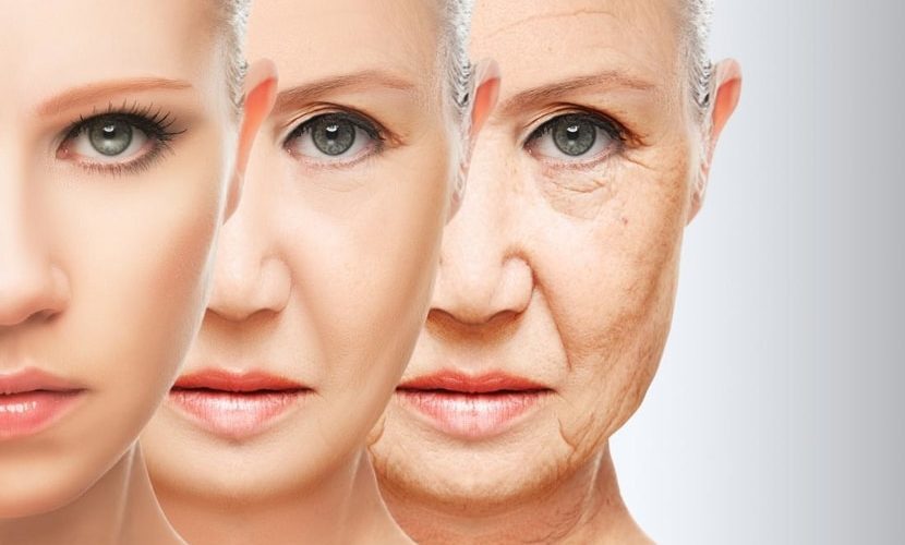 Anti-Aging Medicine